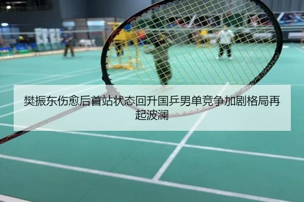 樊振东伤愈后首站状态回升国乒男单竞争加剧格局再起波澜
